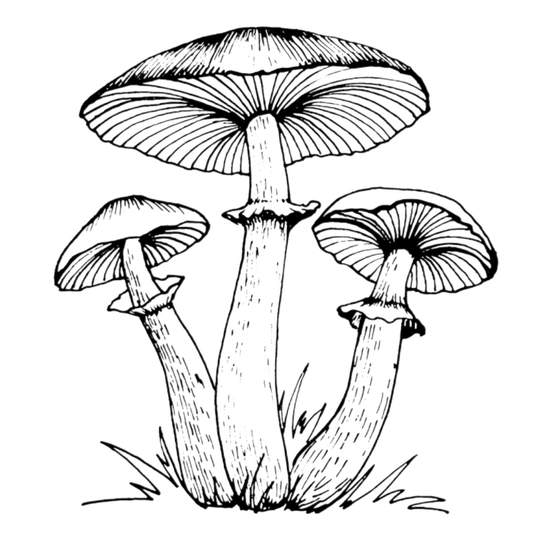 Williamson & Jones is a private dining company delivering unique culinary experiences, tasting menus and hampers across Greater Manchester and Cheshire.