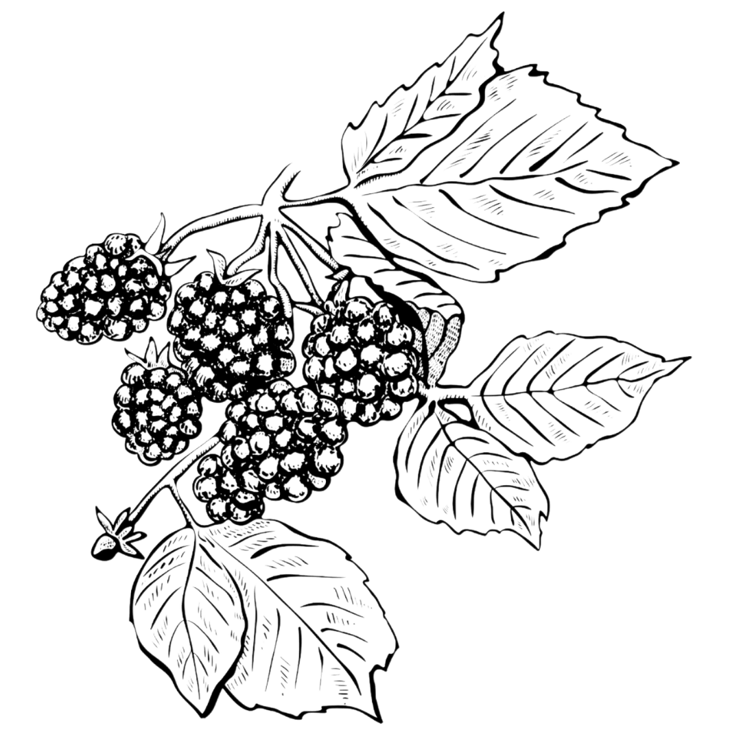 Williamson & Jones is a private dining company delivering unique culinary experiences, tasting menus and hampers across Greater Manchester and Cheshire.