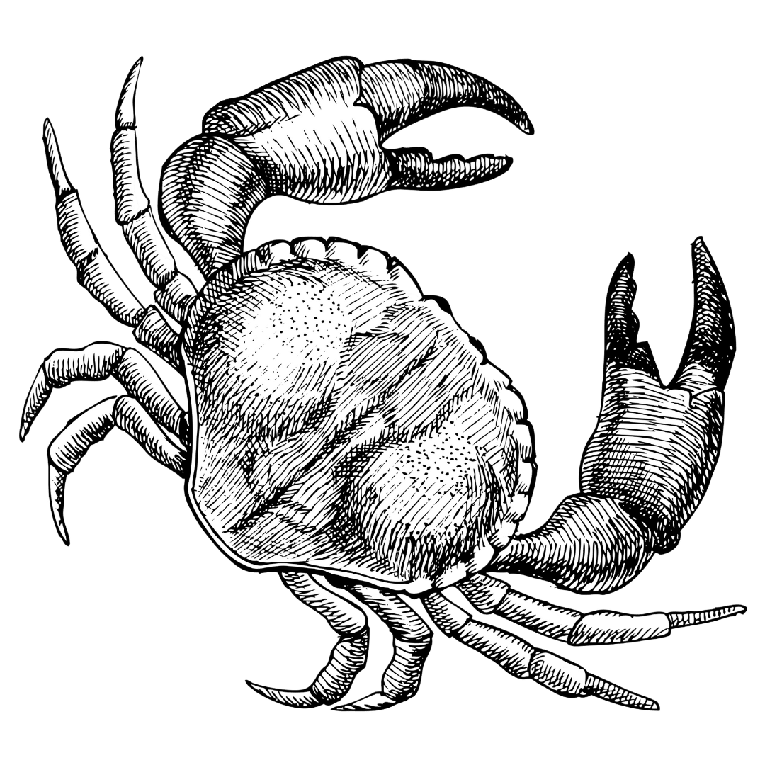 Williamson & Jones is a private dining company delivering unique culinary experiences, tasting menus and hampers across Greater Manchester and Cheshire.